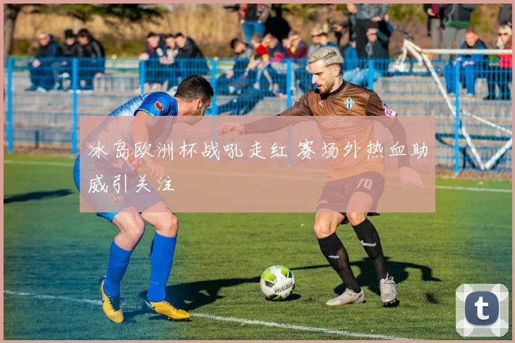 冰岛欧洲杯战吼走红 赛场外热血助威引关注