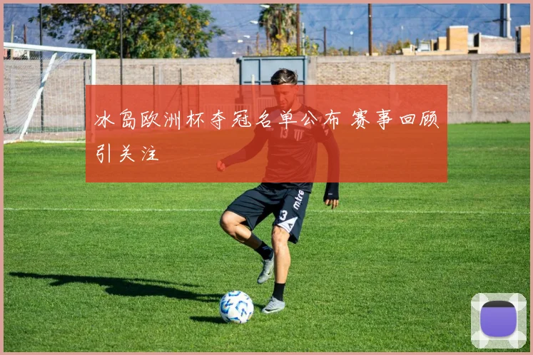 冰岛欧洲杯夺冠名单公布 赛事回顾引关注